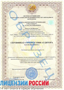 Образец сертификата соответствия аудитора №ST.RU.EXP.00006191-3 Гулькевичи Сертификат ISO 50001
